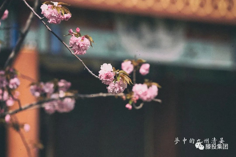 1680485573895017.jpg 2.jpg