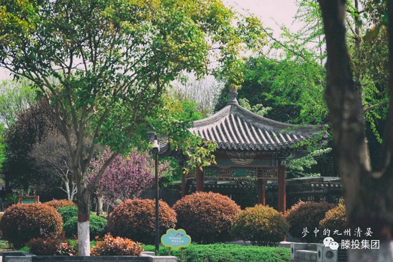 1680485611347121.jpg 4.jpg